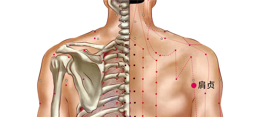 SI9 acupressure point at the back of the shoulder