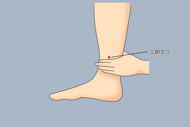 SP6 Sanyinjiao acupressure point on the inner lower leg